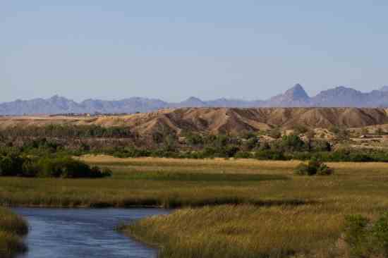National Wildlife Refuges are “Wildly” Successful